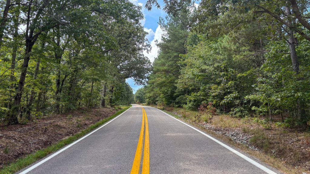 CSLS Blog Invest in Timber