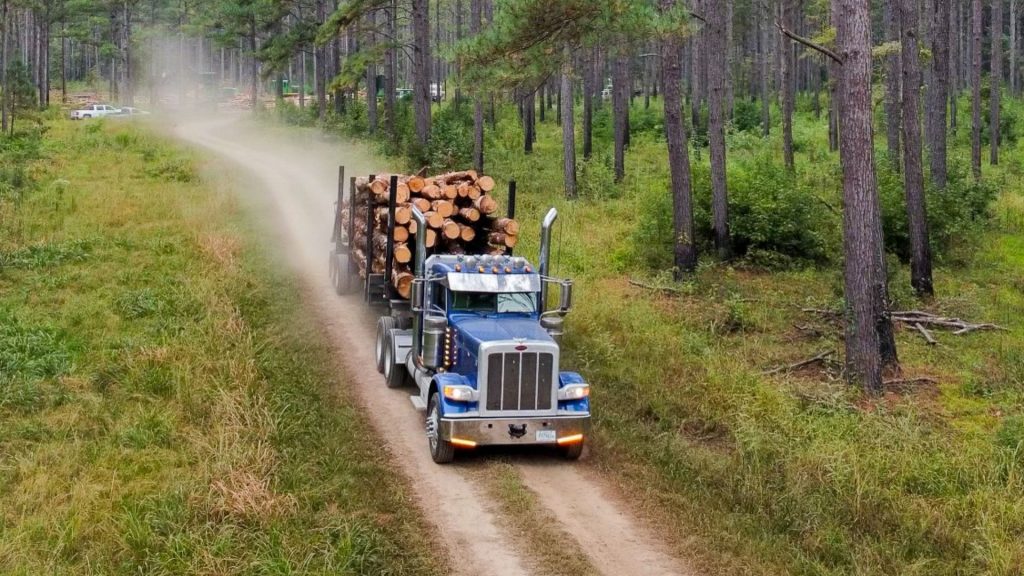 CSLS Blog Forestry and Logging