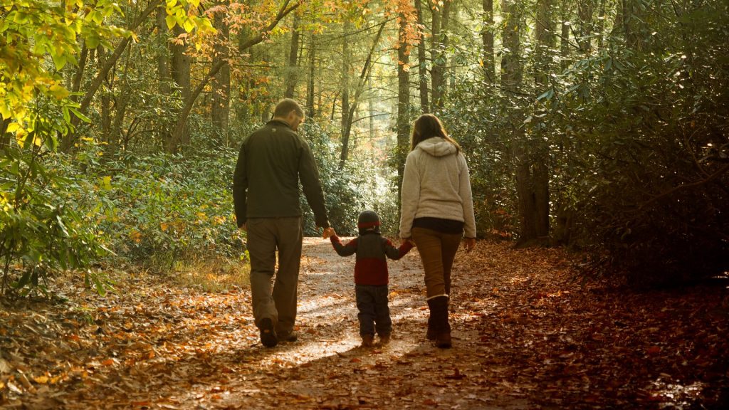 CSLS Blog Generational Land