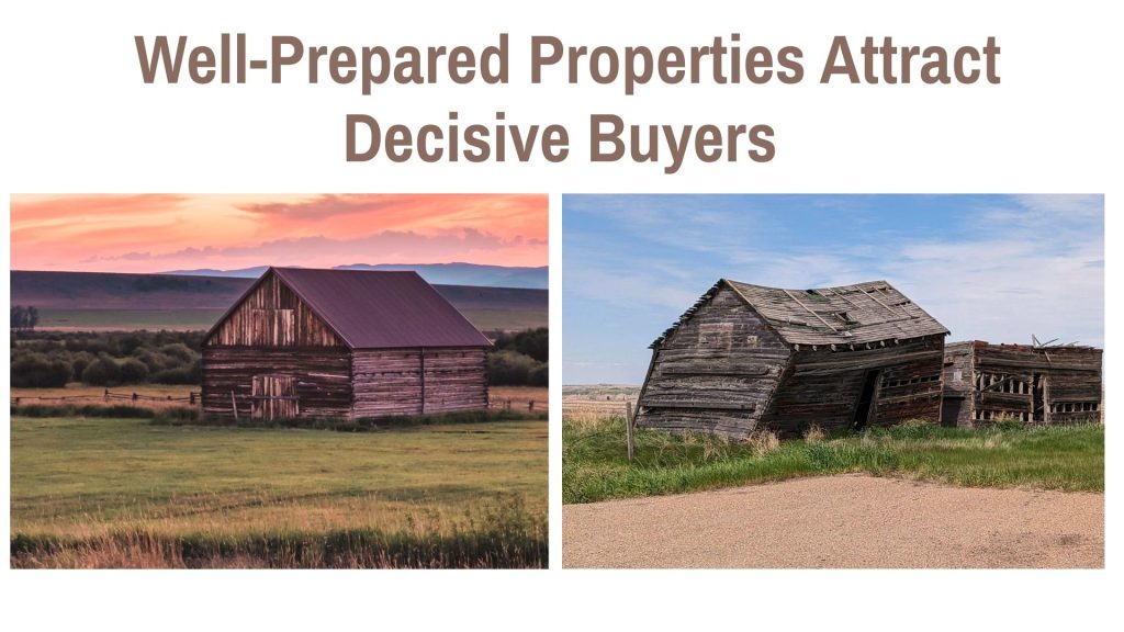 Great Property